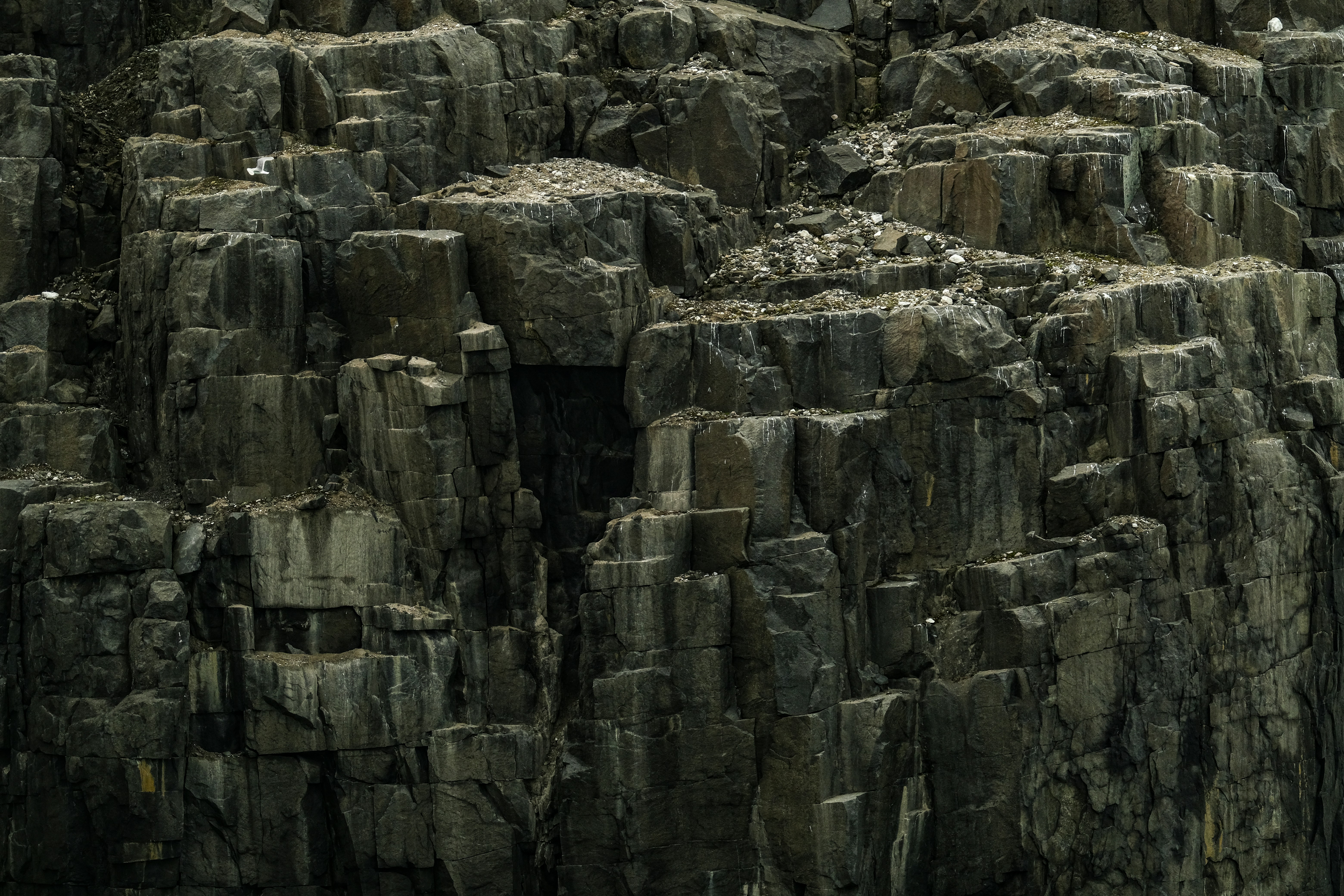 Photo by francesco_ungaro