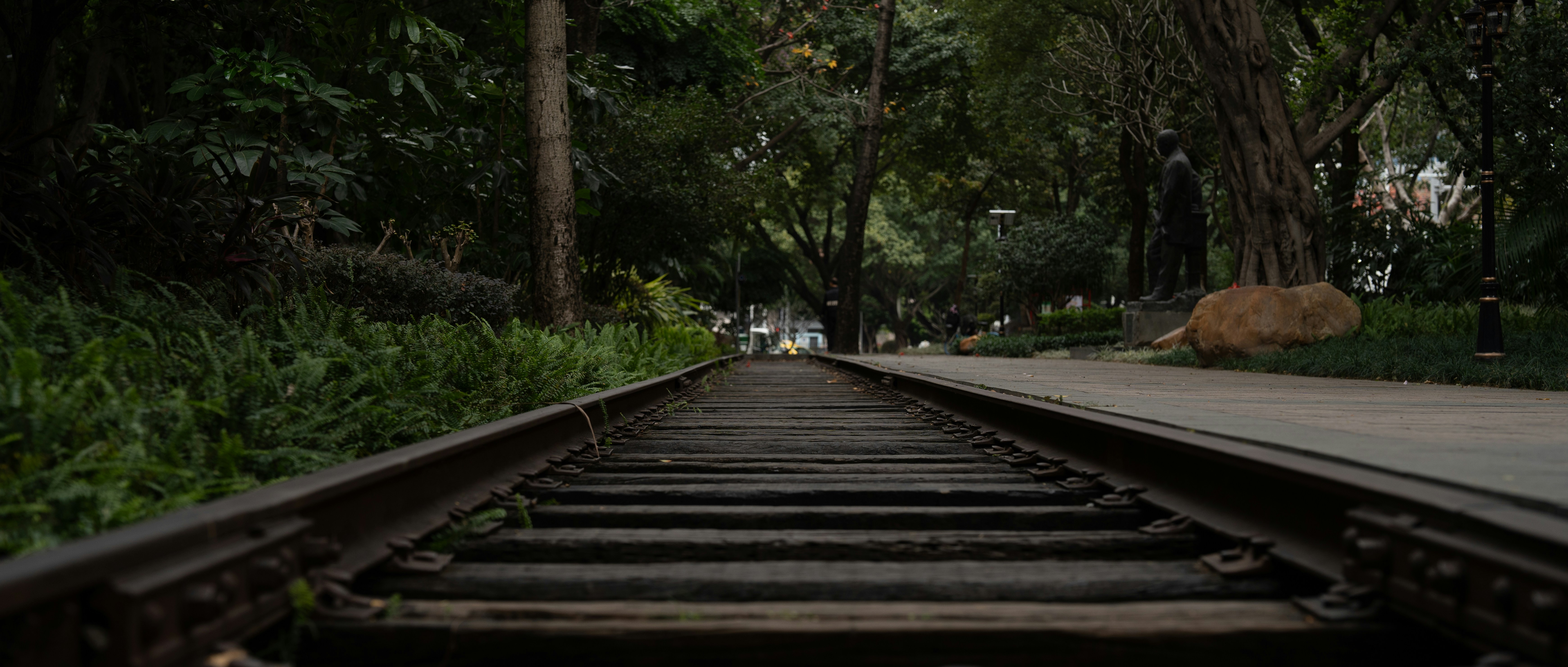 a train track in the middle of a park