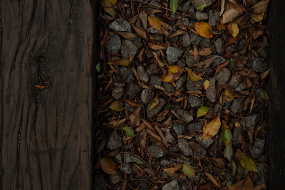 a pile of rocks and leaves next to a wooden fence