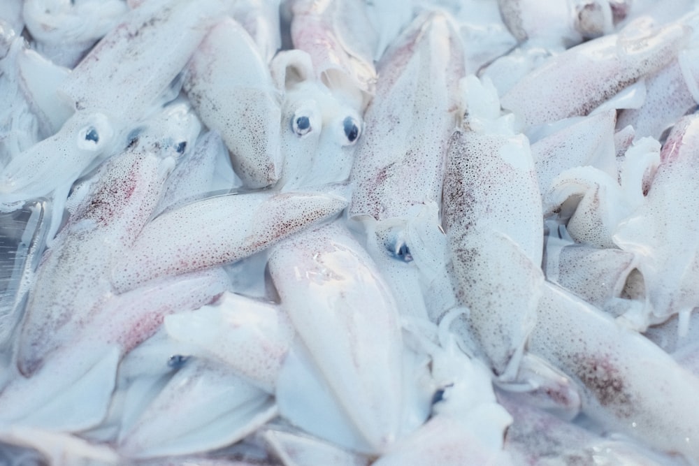 a bunch of fish that are on a table