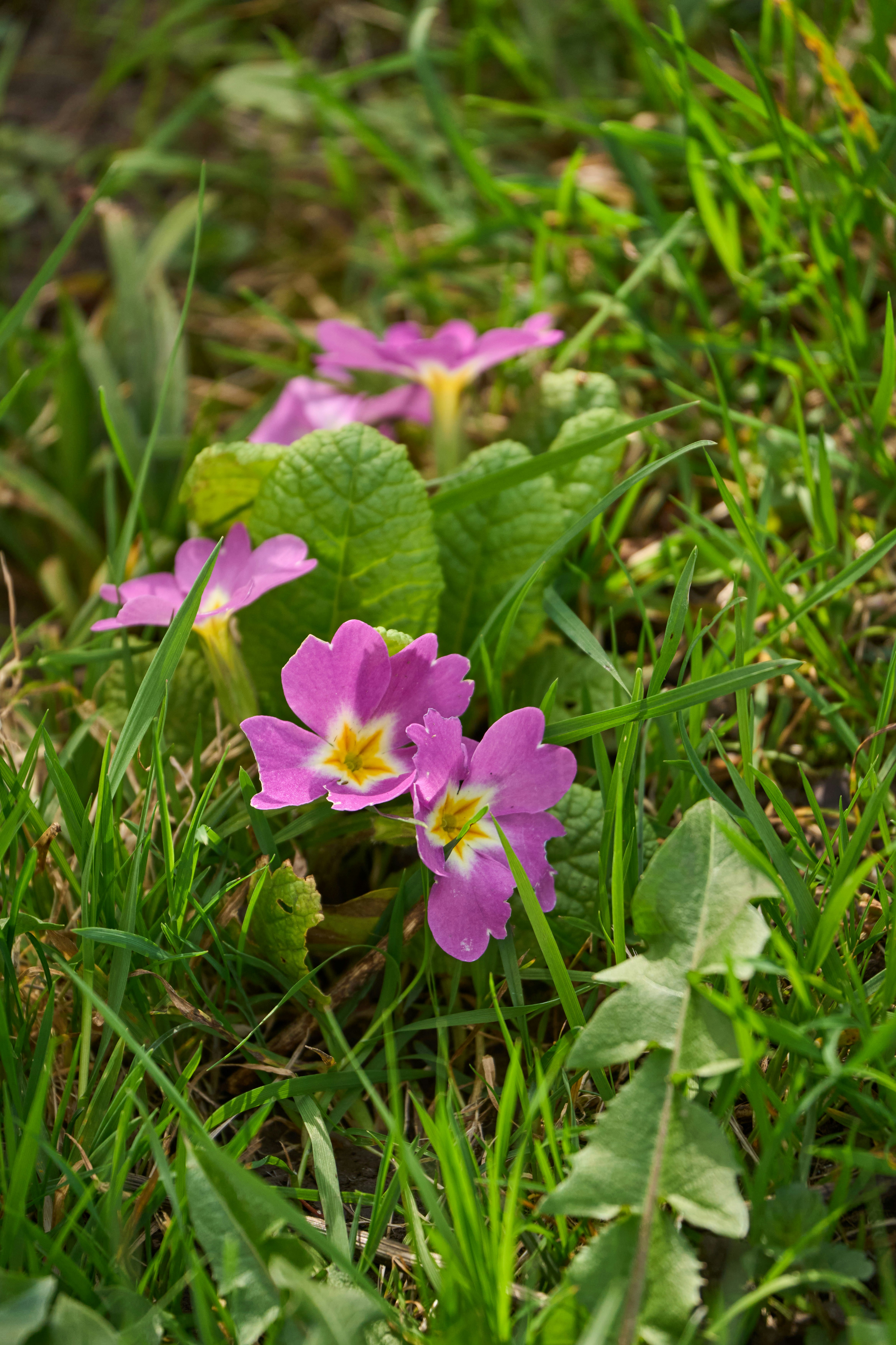 Photo by wolfgang_hasselmann