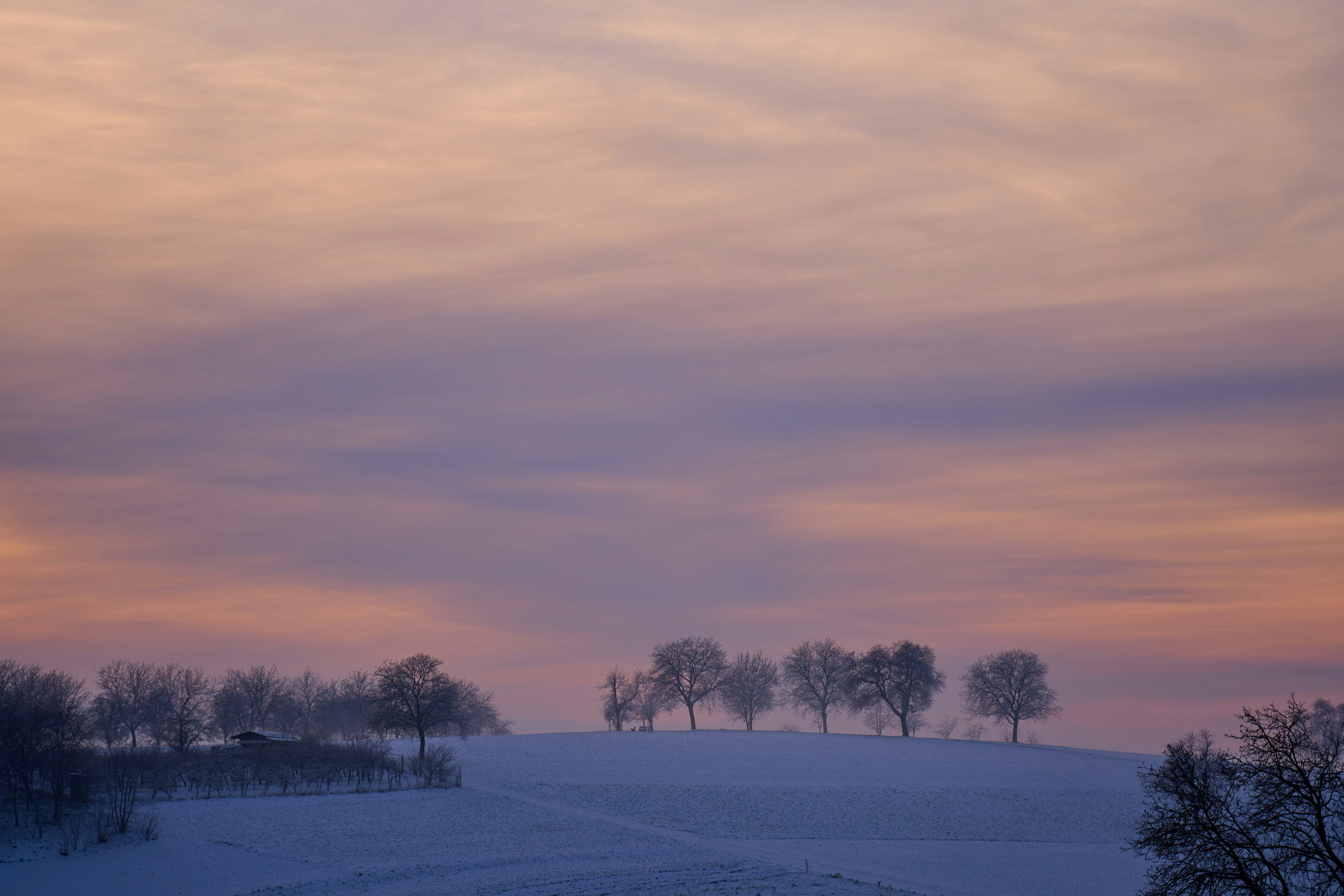 Photo by wolfgang_hasselmann