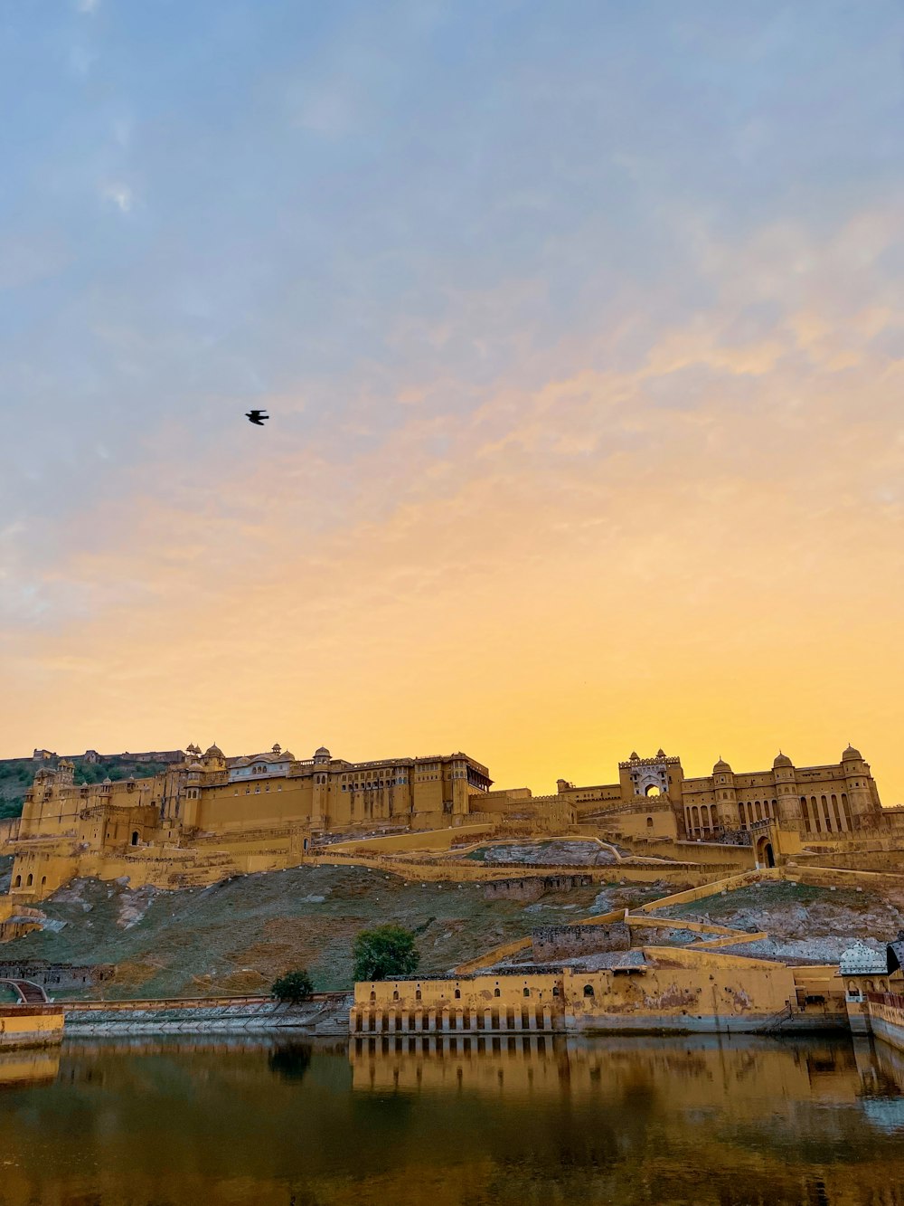 a bird is flying over a castle on a hill