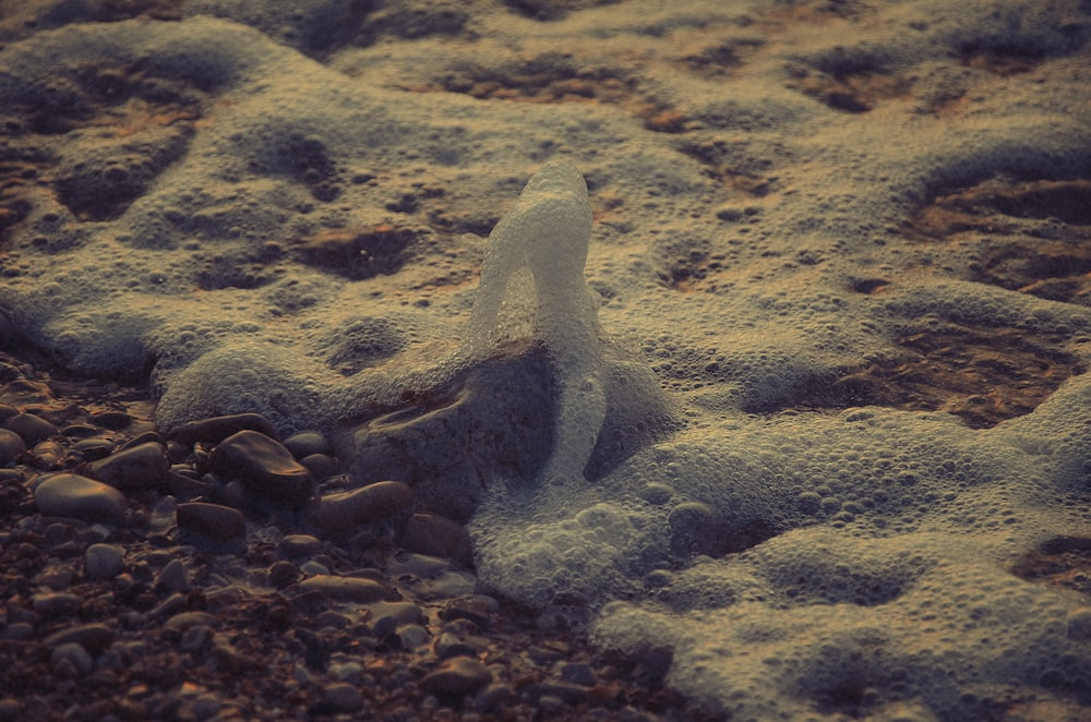 a close up of a sand and gravel area