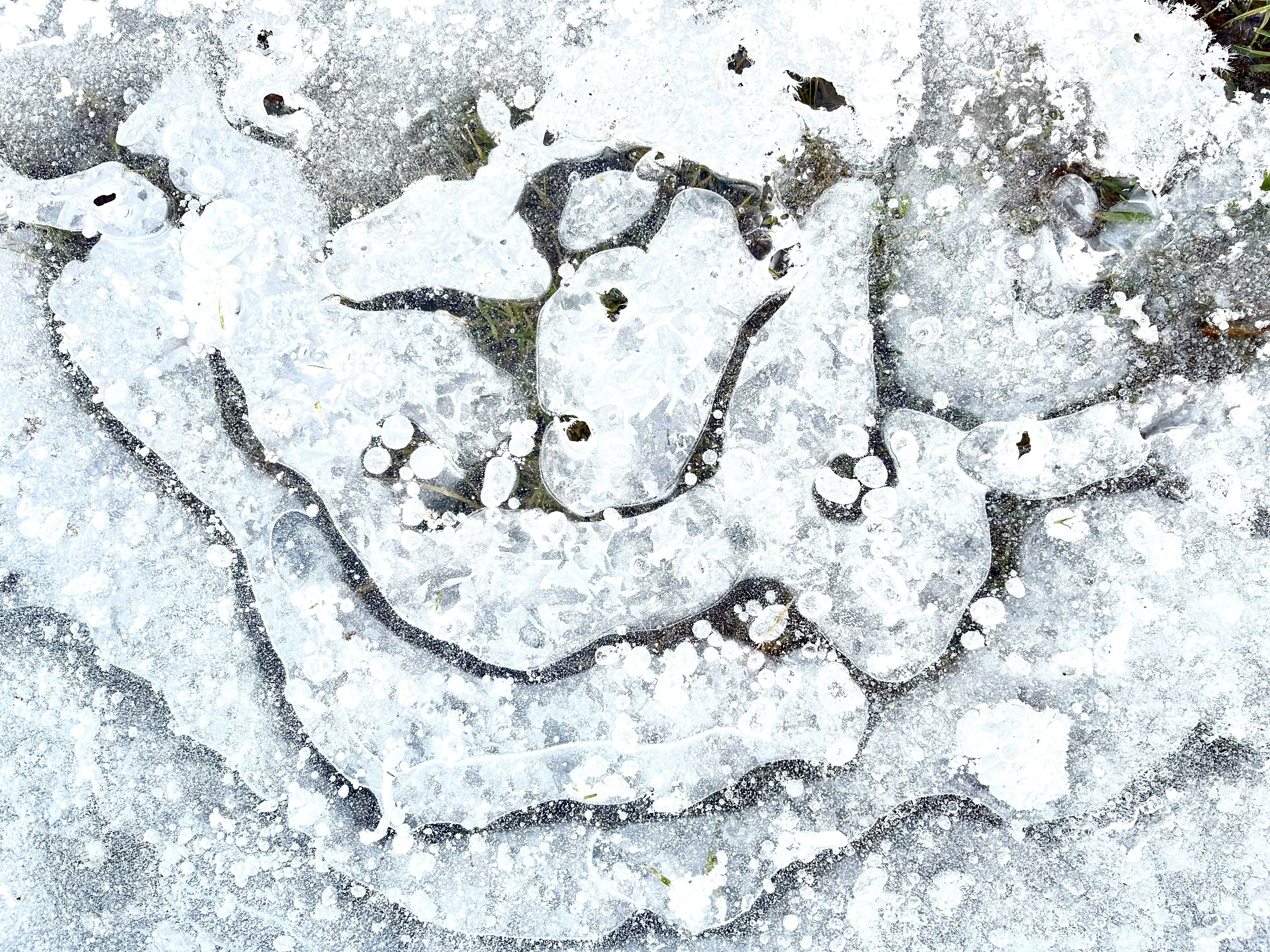 A frozen outdoor AC unit, illustrating a severe HVAC problem. - 24/7 HVAC emergency repair