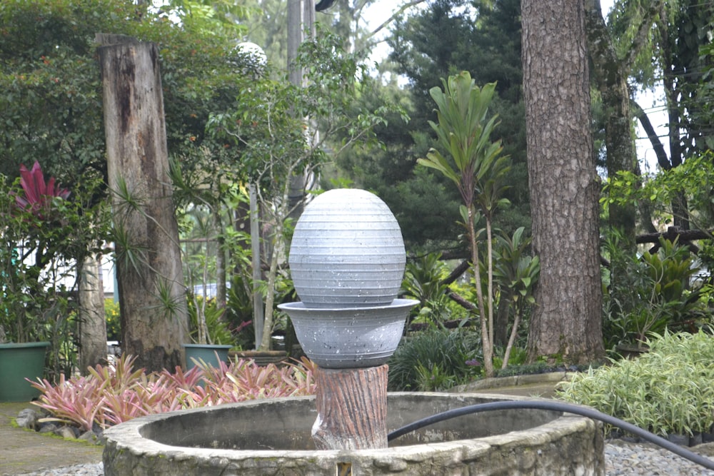 a water fountain in the middle of a garden