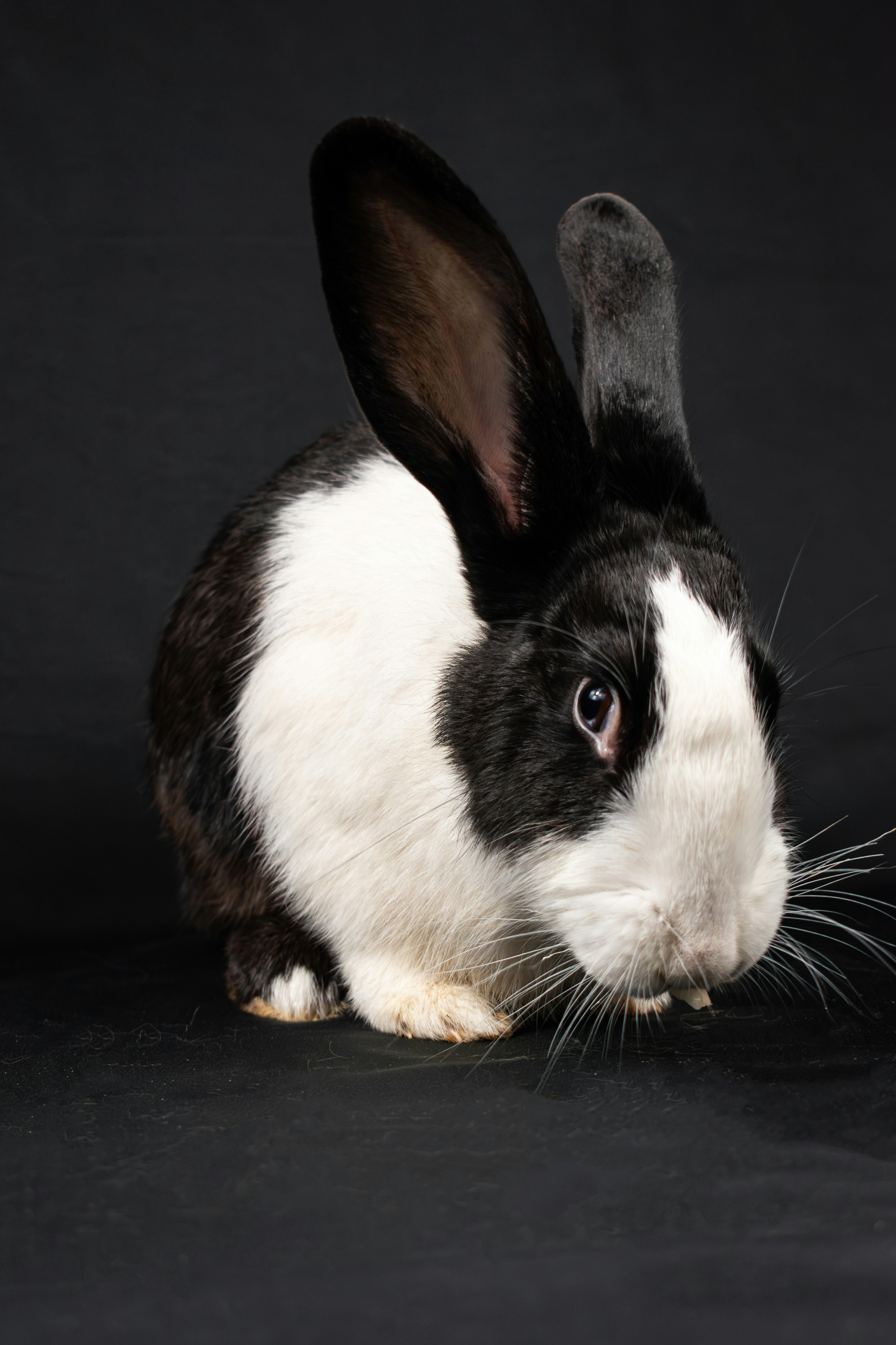 Photo by niki_emmert