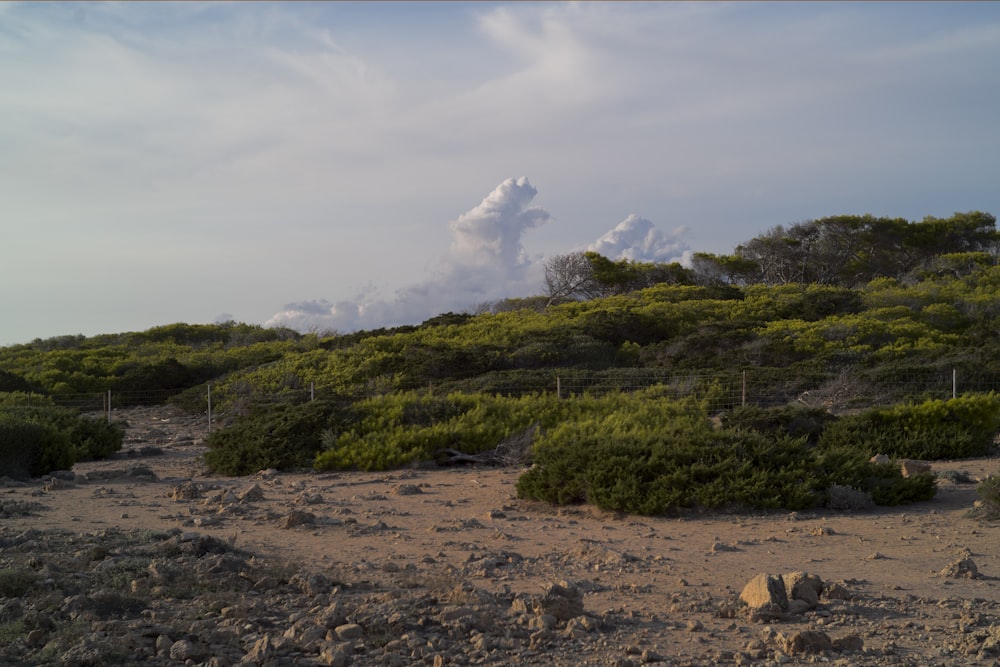 una gran nube está en el cielo sobre una colina