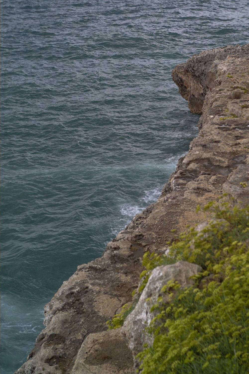 a bird sitting on the edge of a cliff near the ocean