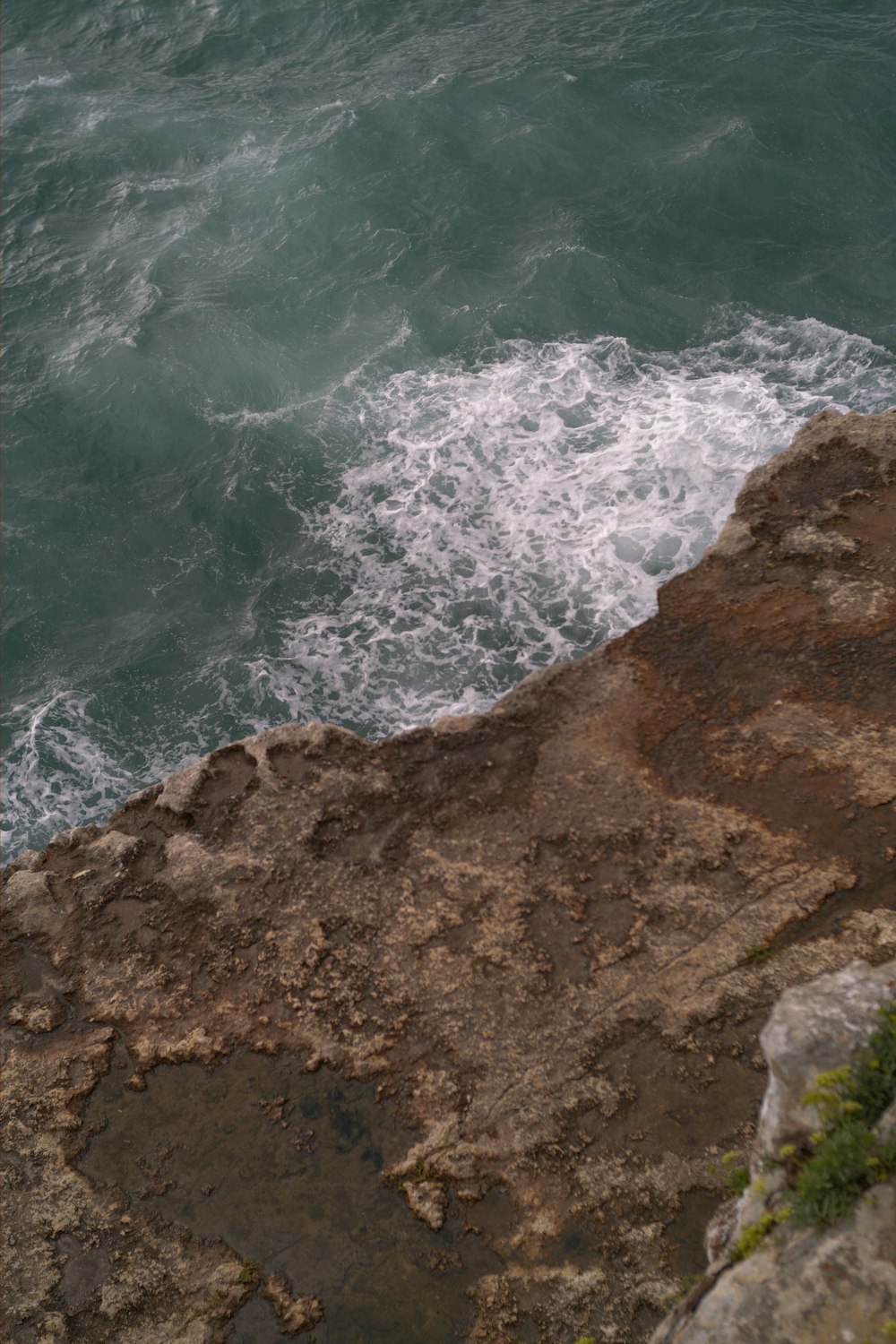 a bird sitting on a rock next to the ocean