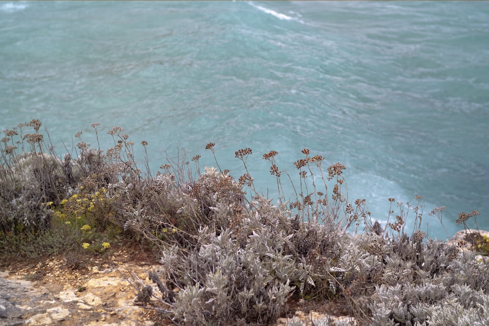 a view of a body of water from a cliff