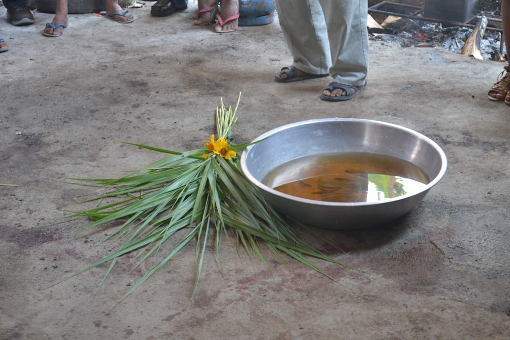 a bowl of soup with a flower on the ground