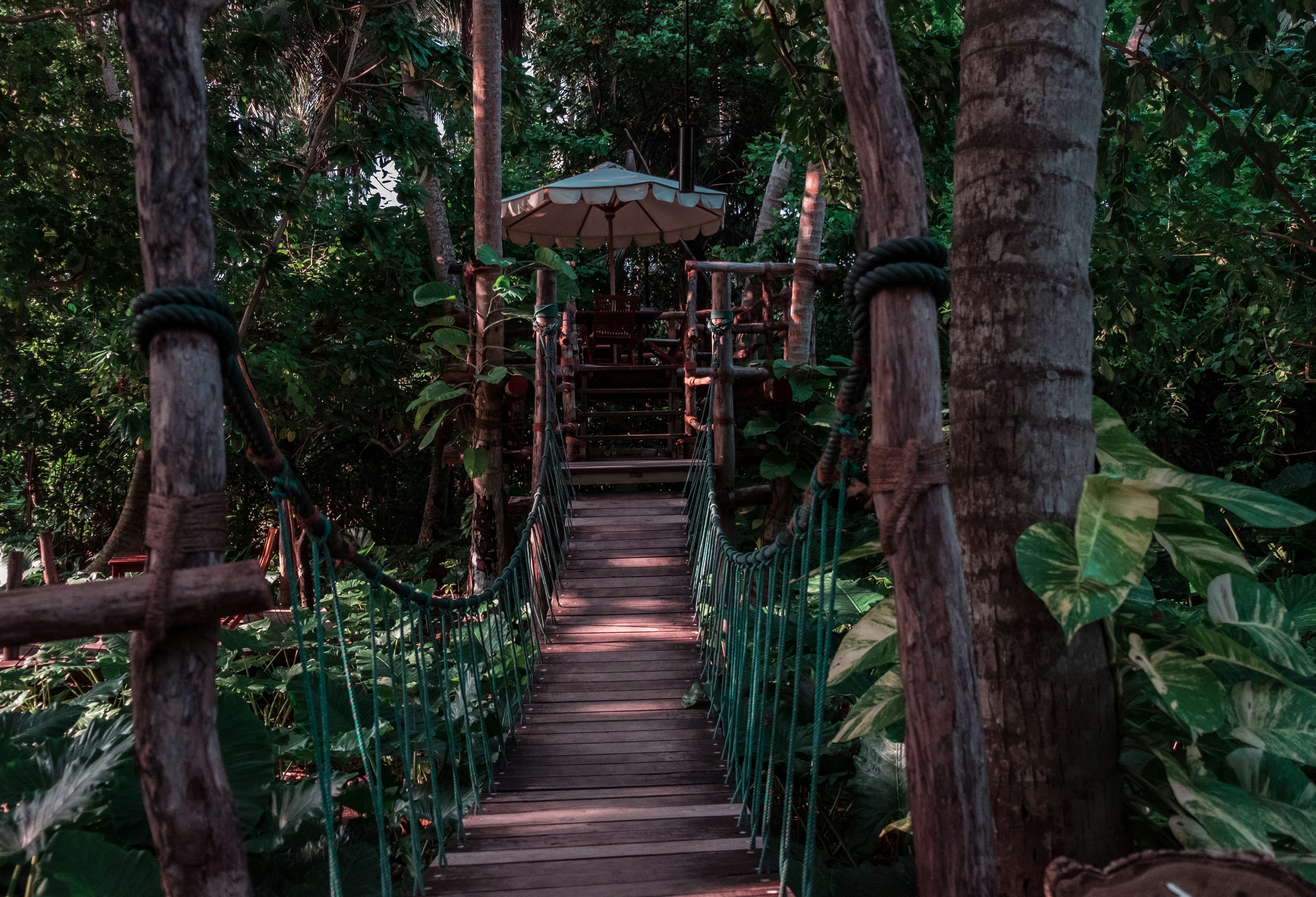 Photo by mo_design_3d