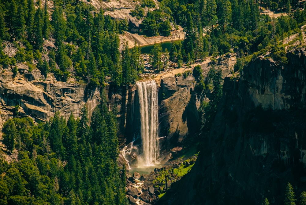 a waterfall in the middle of a forest