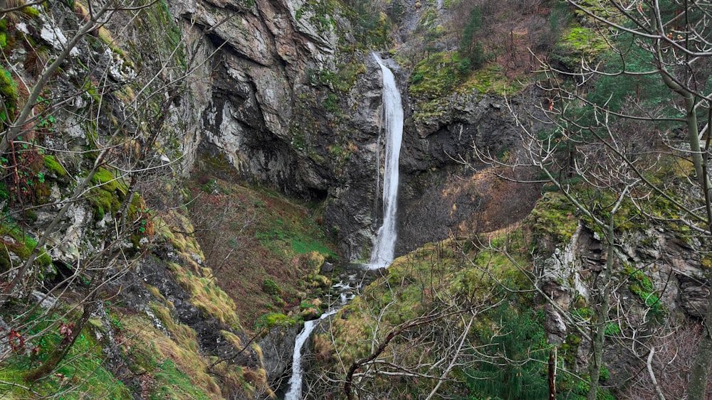 a waterfall in the middle of a forest