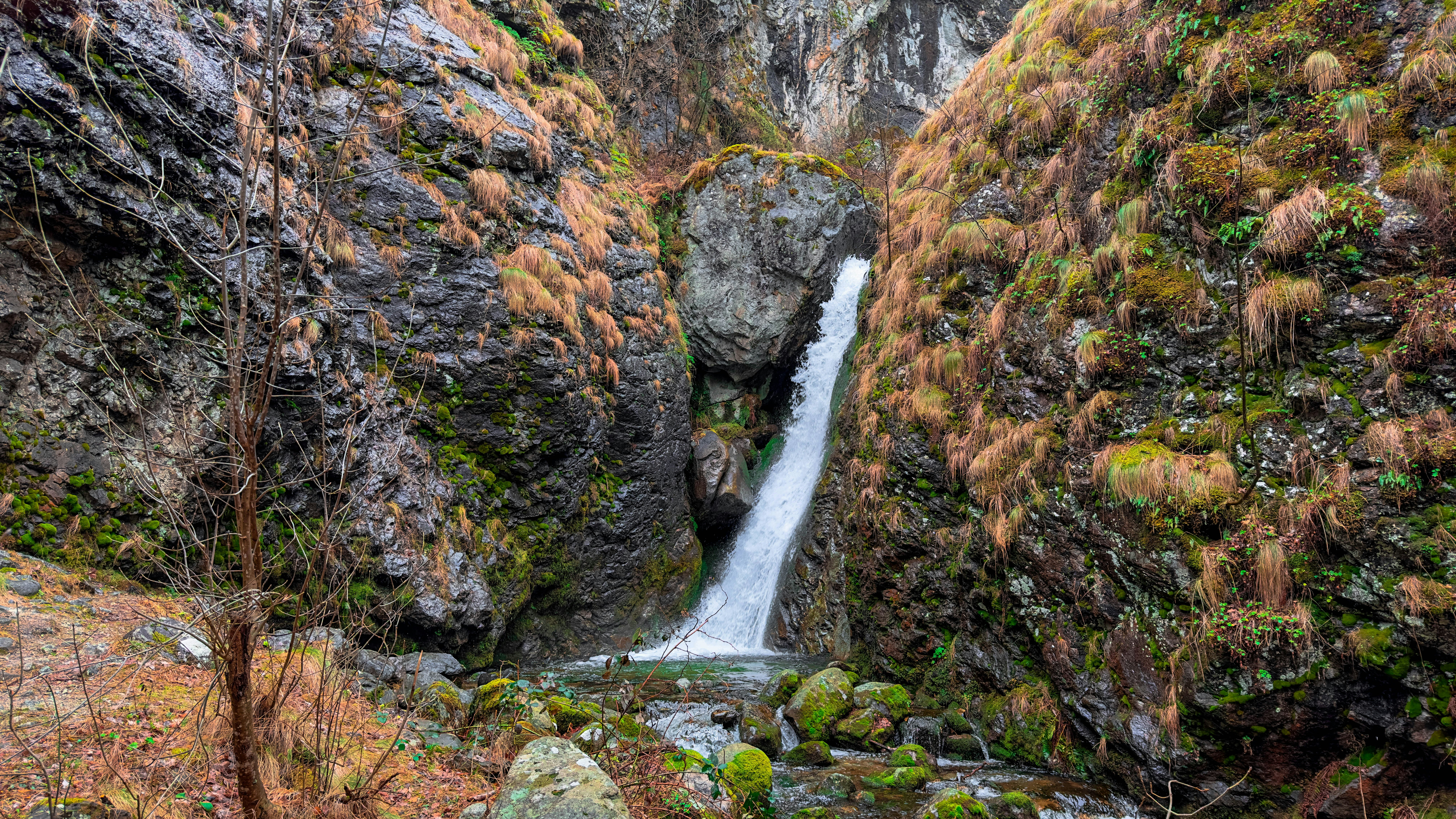 Photo by archange1michael