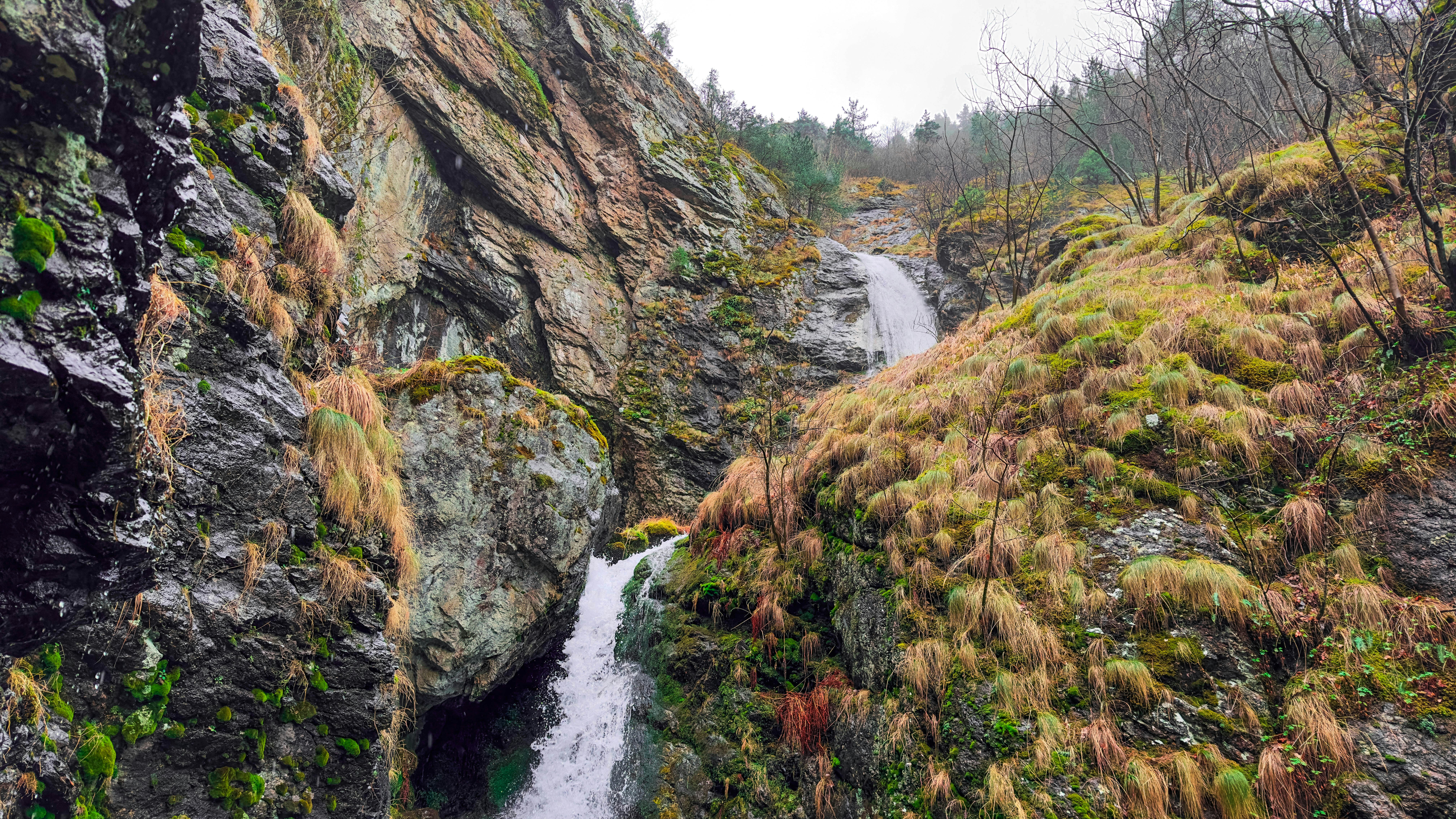 Photo by archange1michael