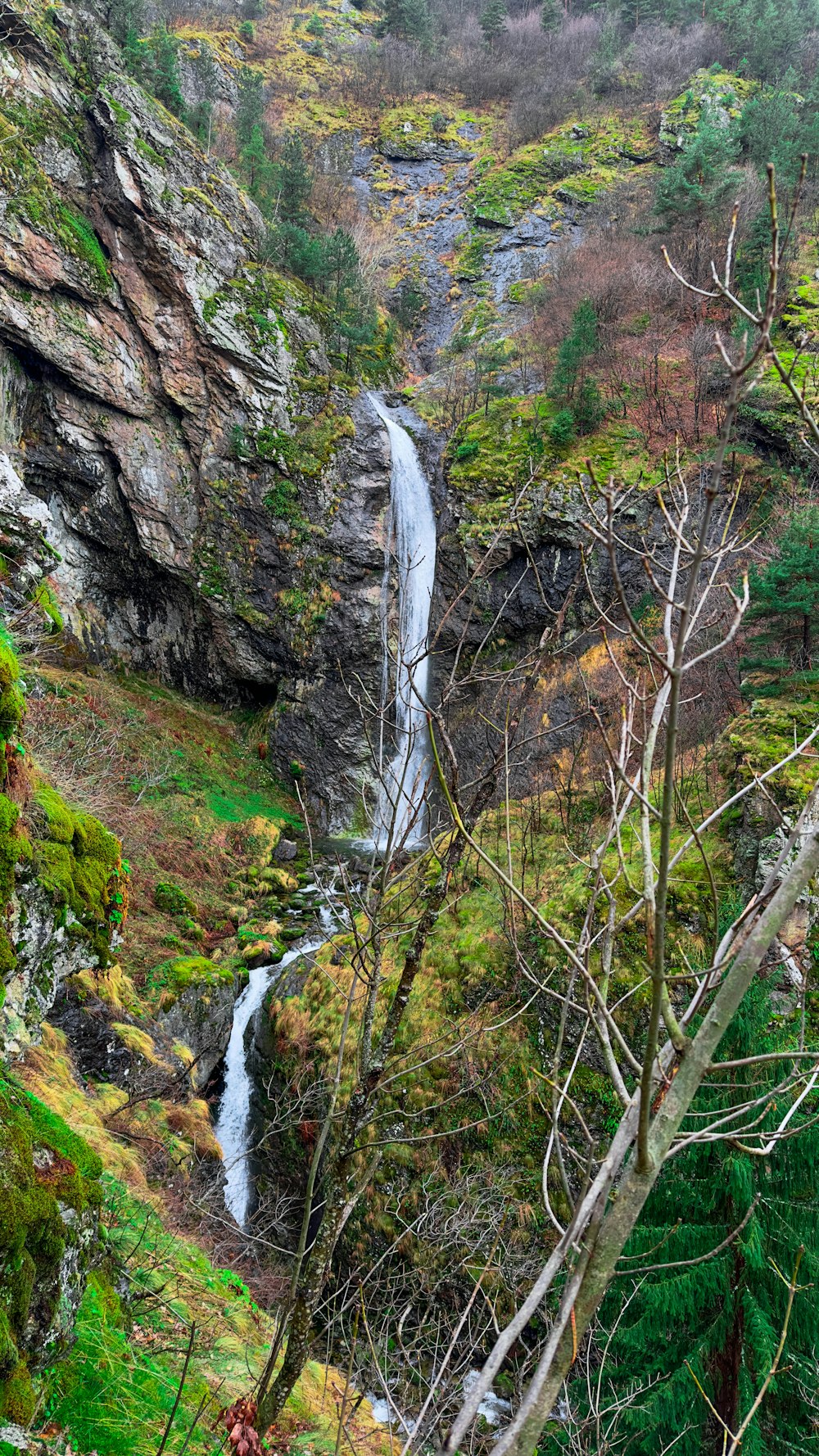 a small waterfall in the middle of a forest