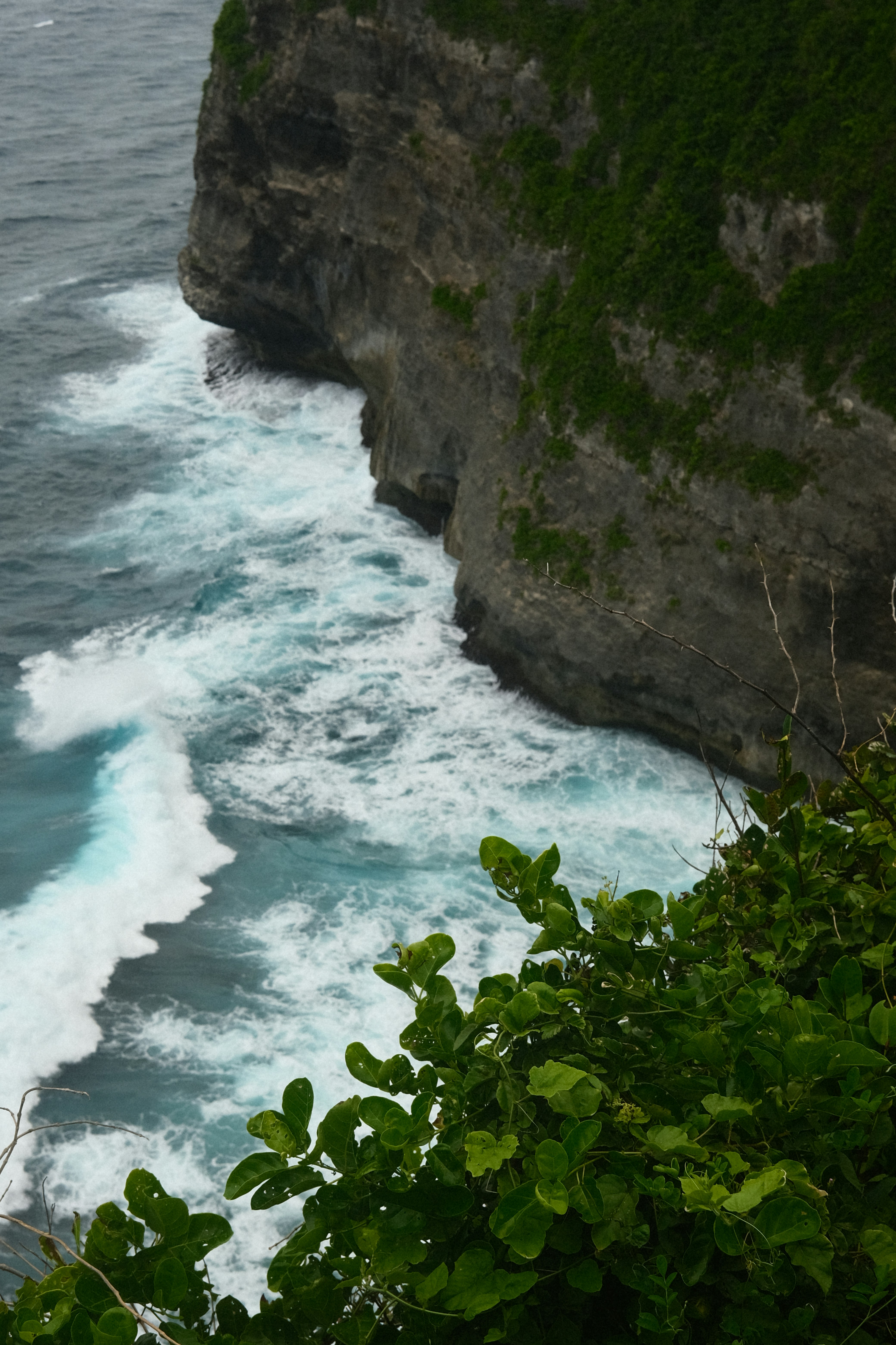 photo of Niue