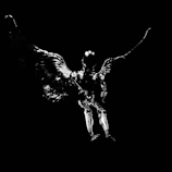 a black and white photo of a flying bird