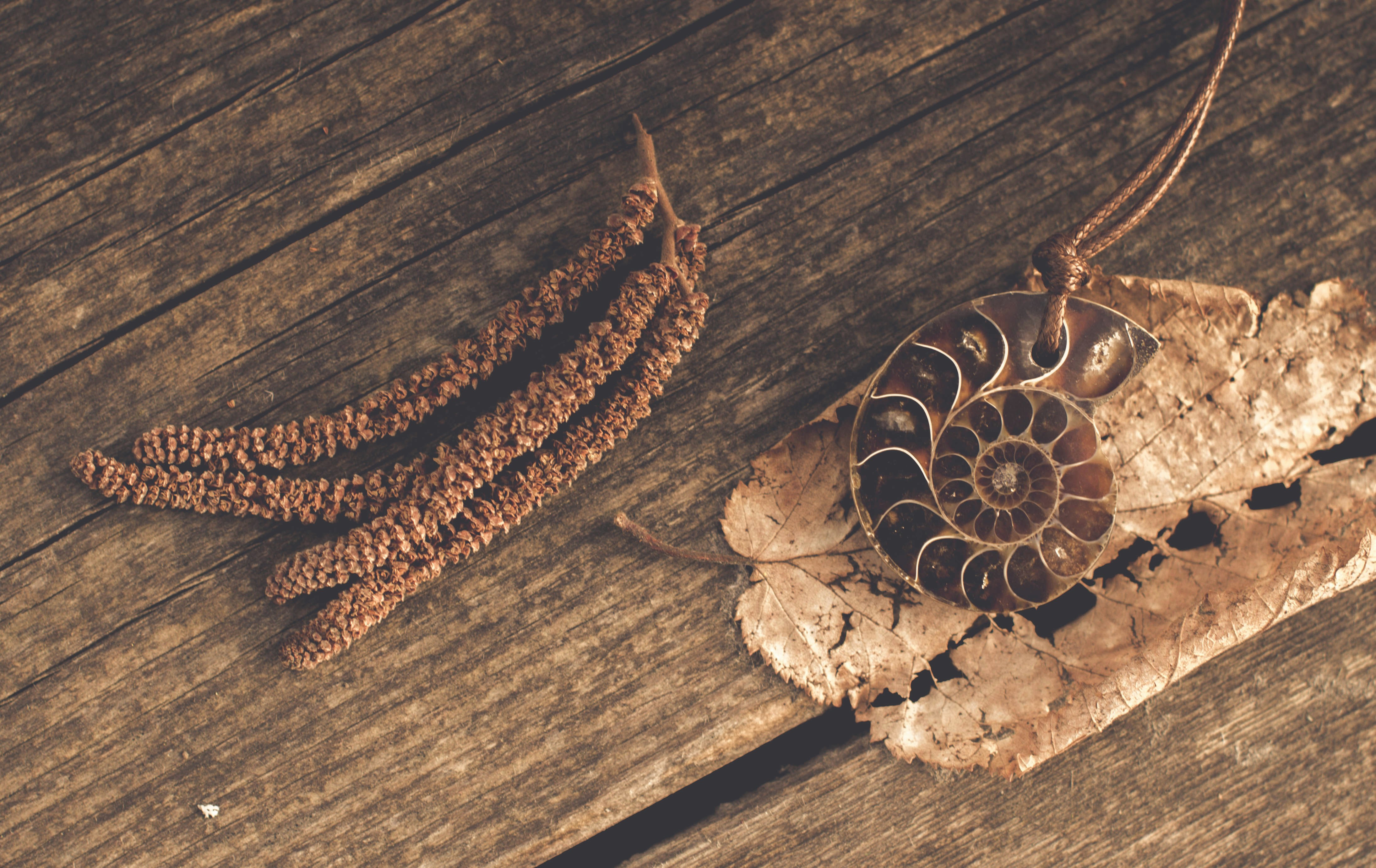 Shining Bright: Choosing the Perfect Jewelry for Spring Occasions