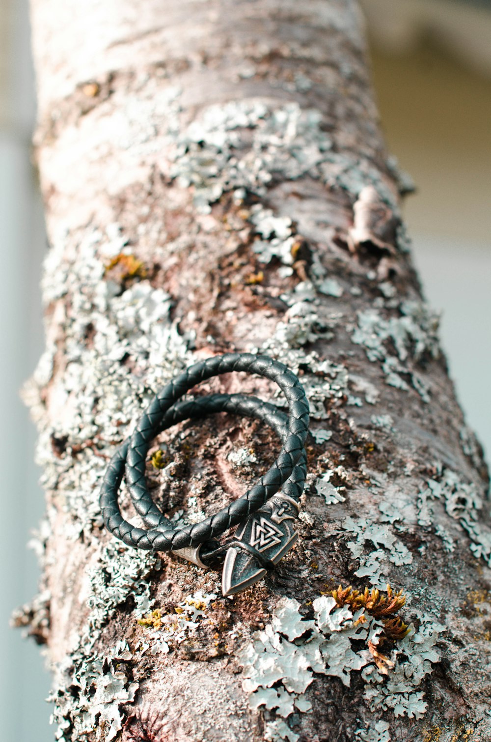 a tree trunk with a bracelet on it