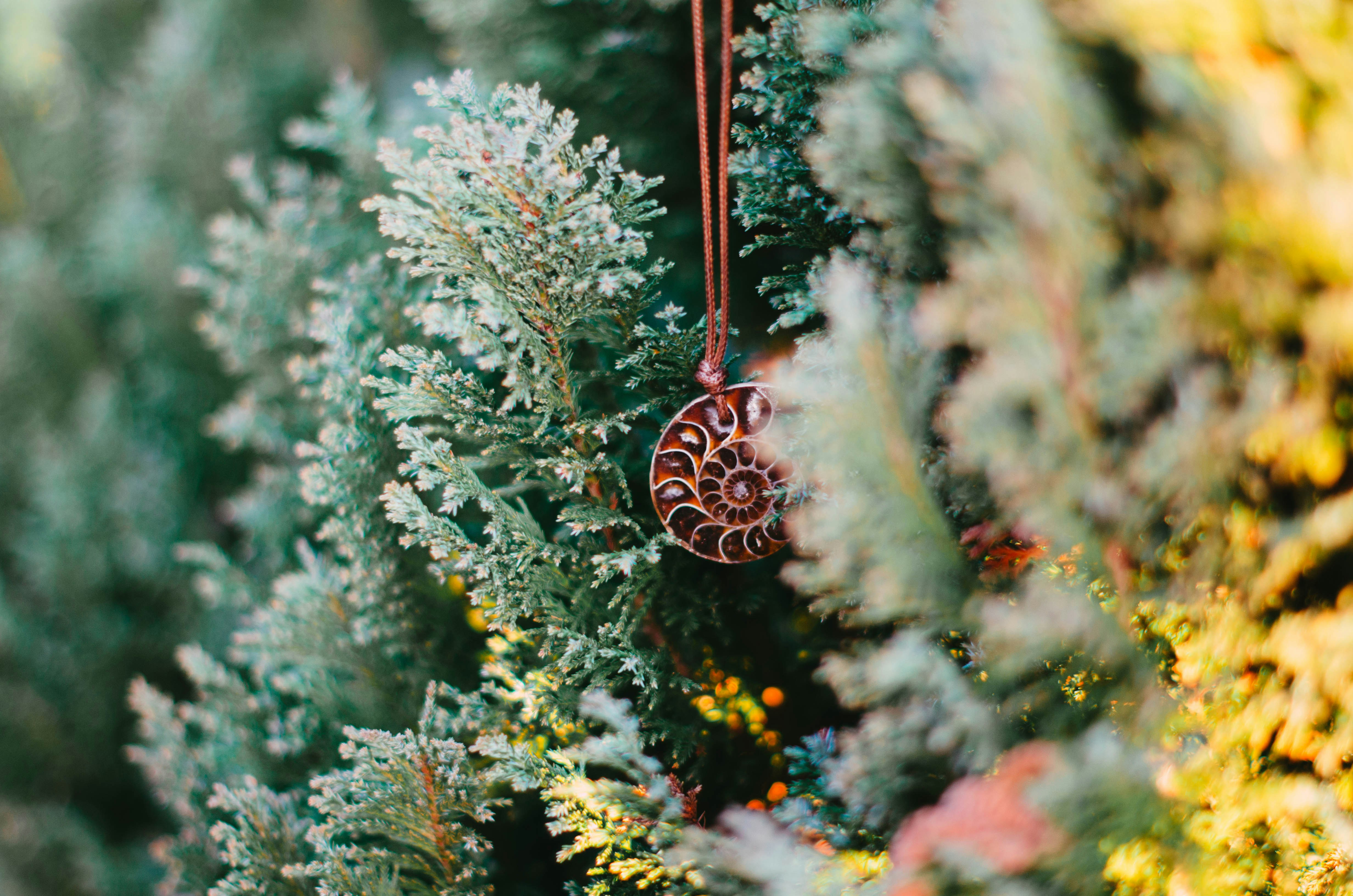 Un primer plano de un árbol con adornos colgando de él