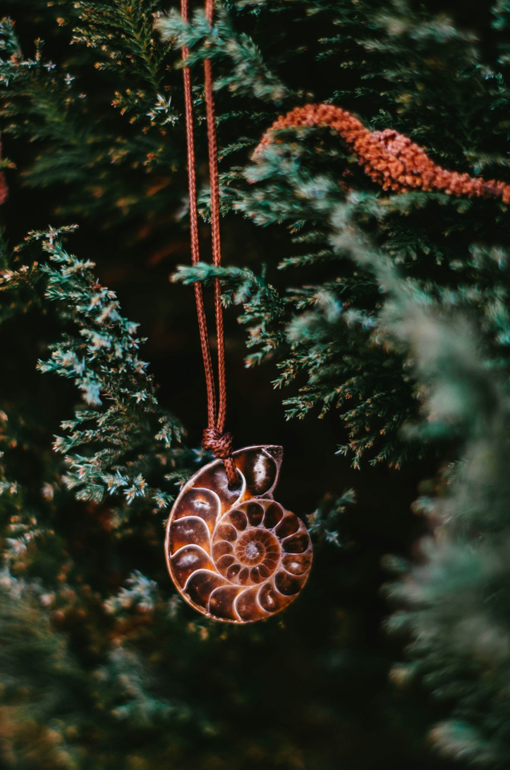 a brown ornament hanging from a tree