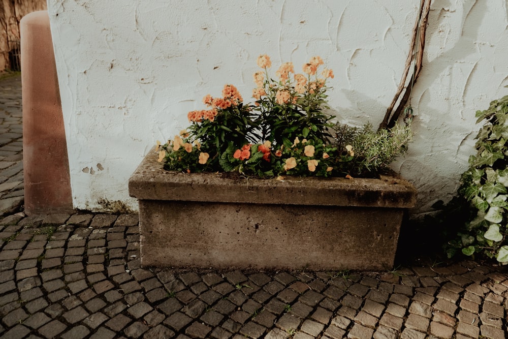 a potted planter sitting next to a white wall