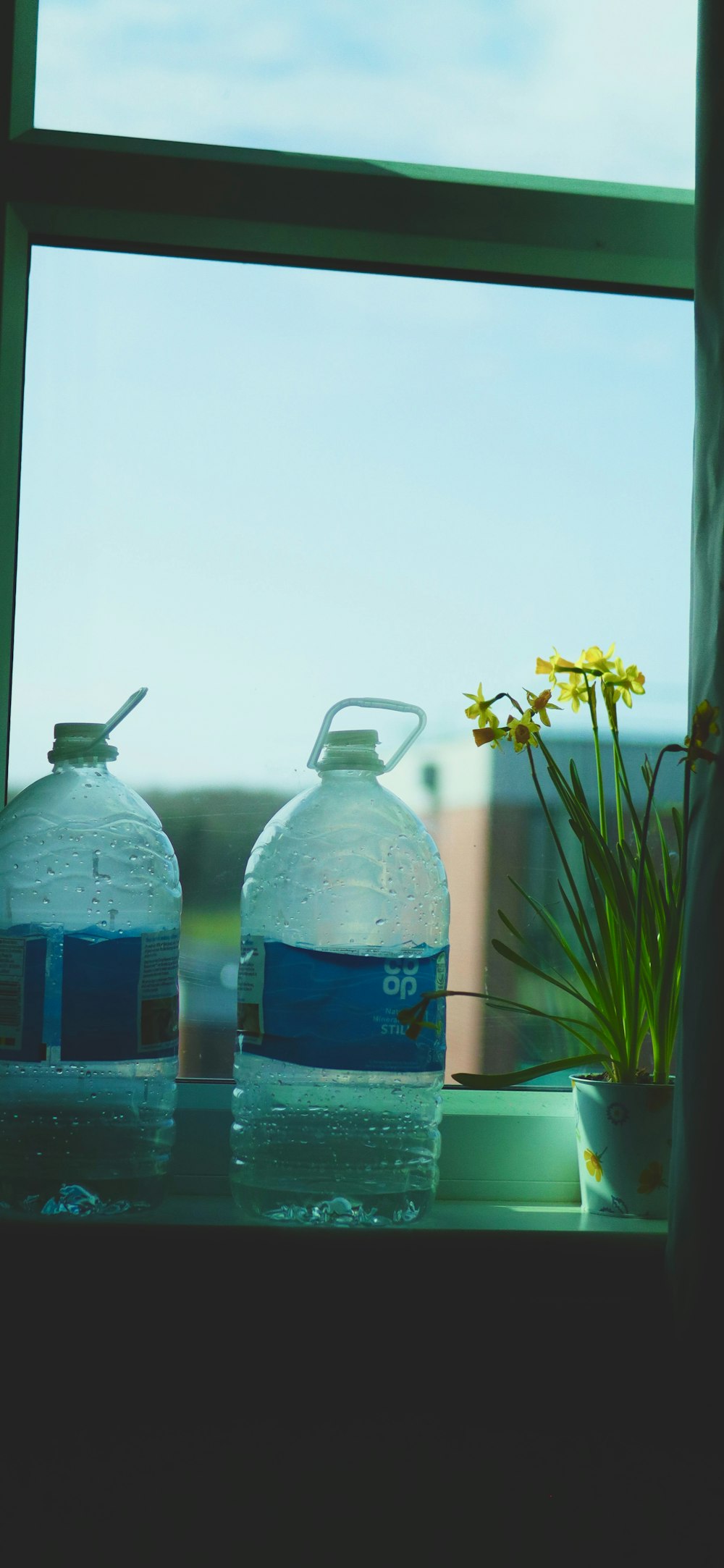 a couple of water jugs sitting on top of a window sill