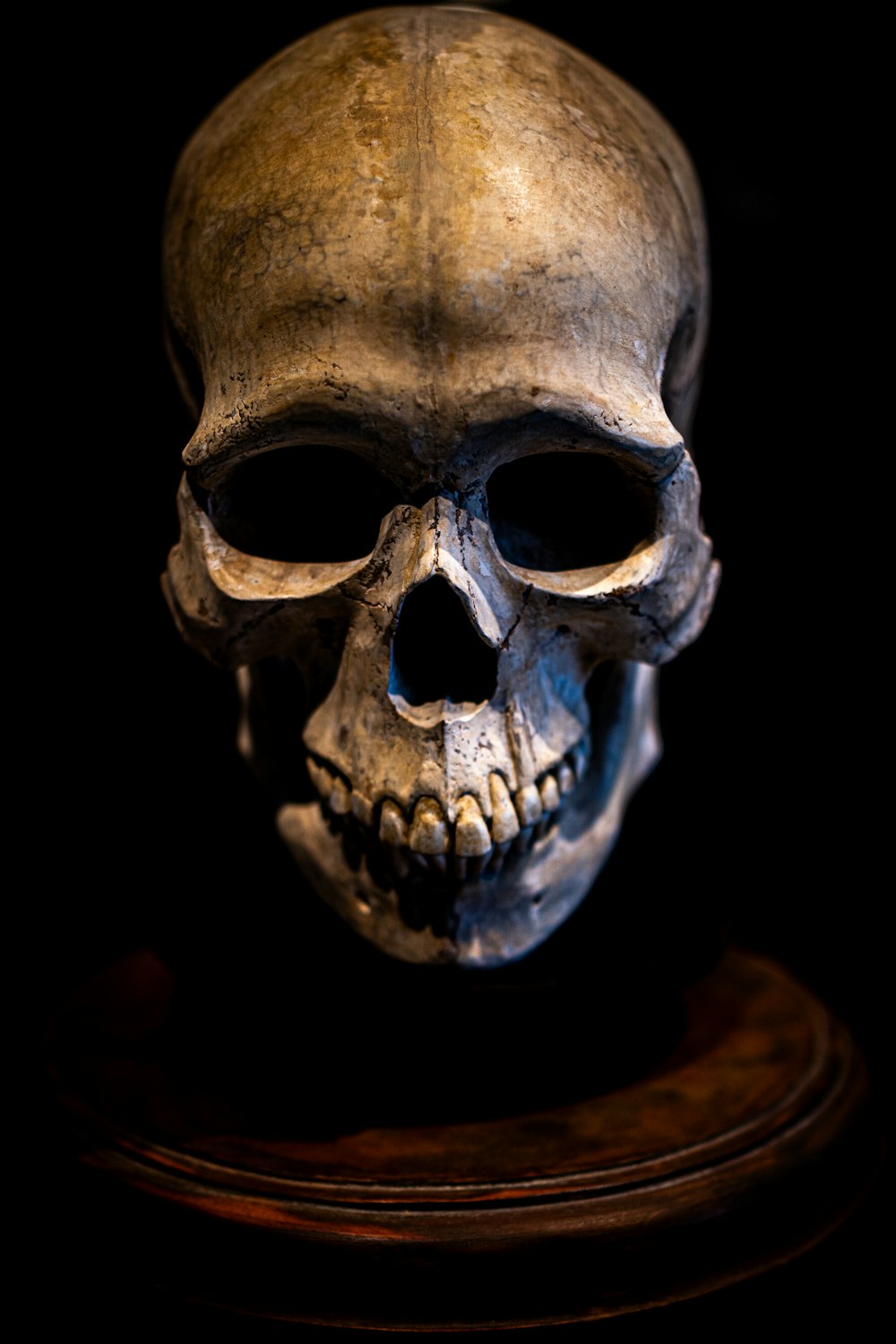 a fake human skull on a wooden stand
