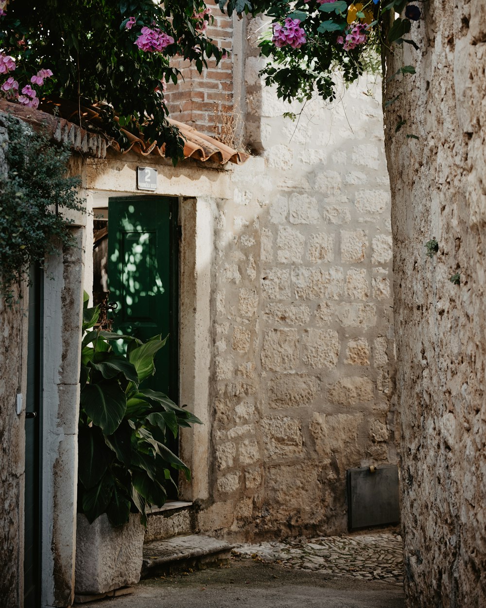 a narrow alleyway with a green door and a potted plant