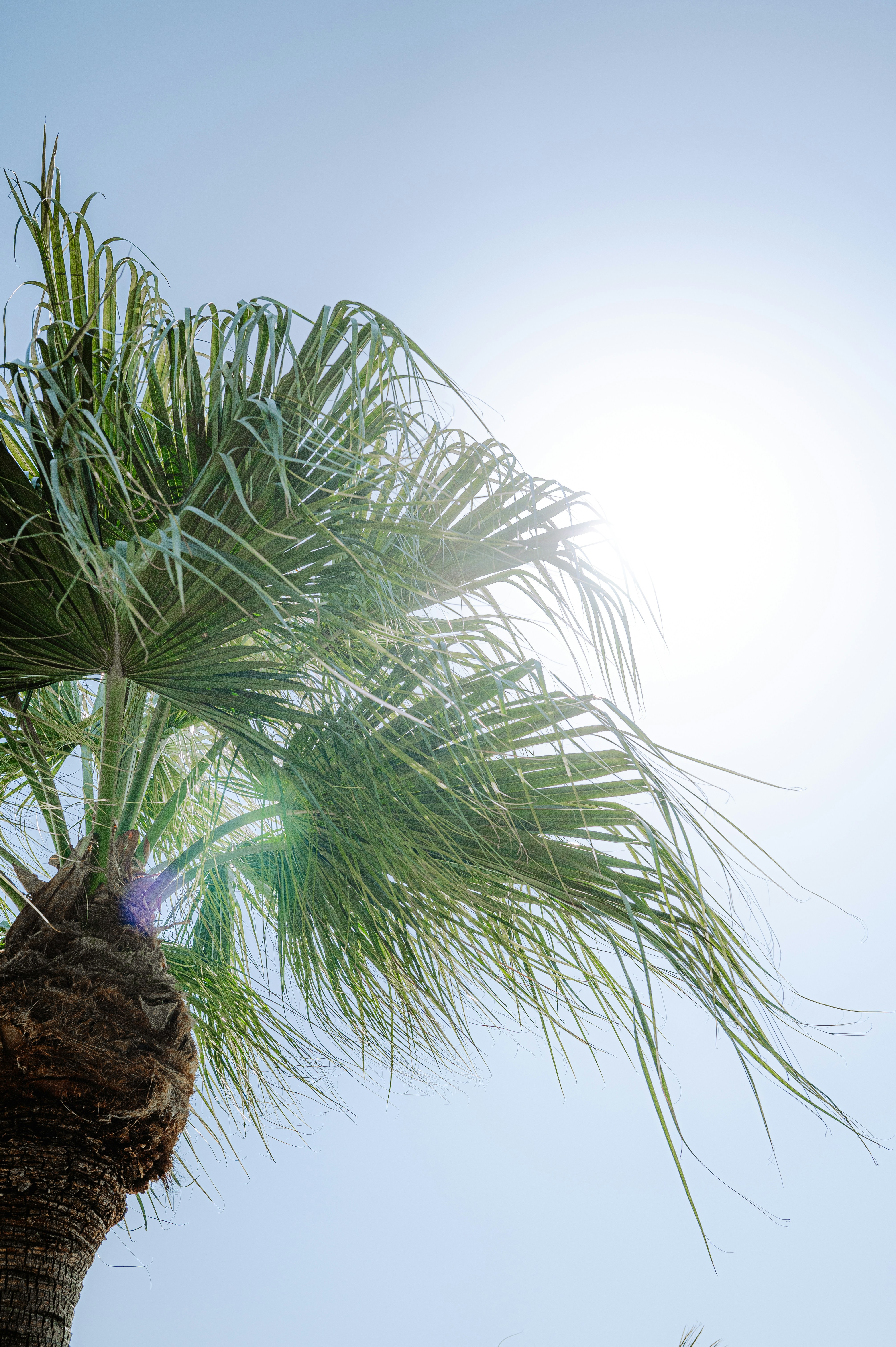 Photo by ryunosuke_kikuno