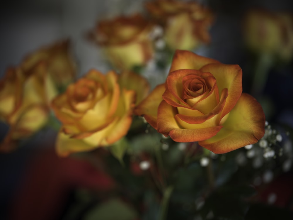 a vase filled with yellow roses on top of a table