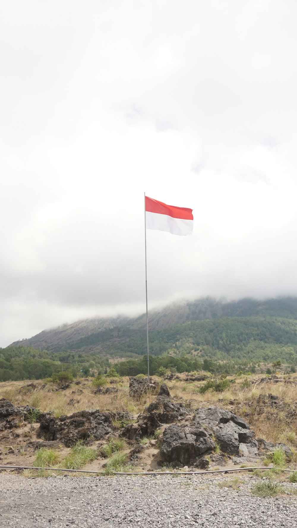a red and white flag on a pole in the middle of a field