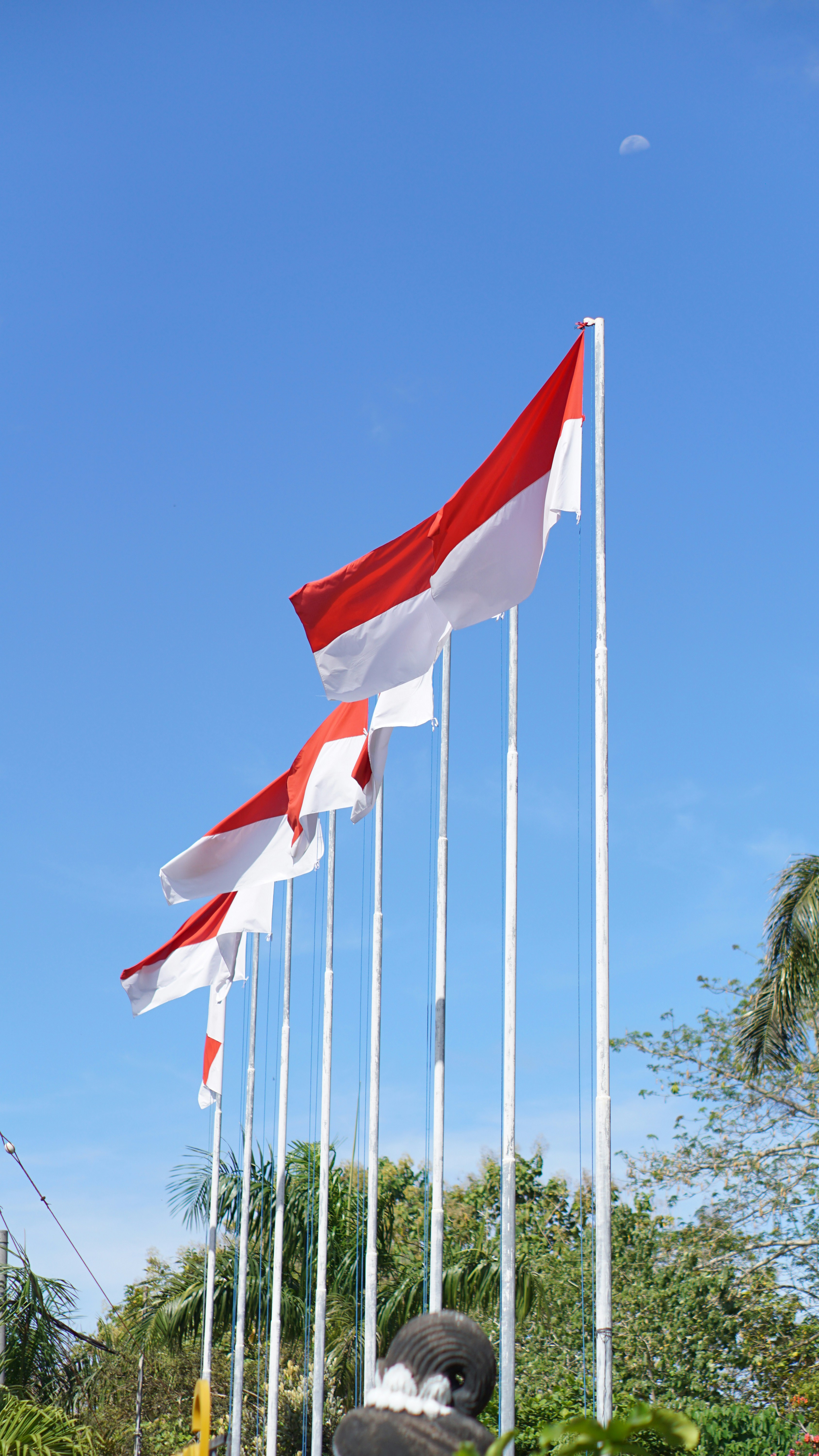 photo-1711024068793-5767c3d3b387?ixid=M3