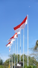 a bunch of flags that are flying in the air
