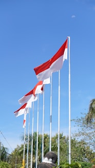 a bunch of flags that are flying in the air
