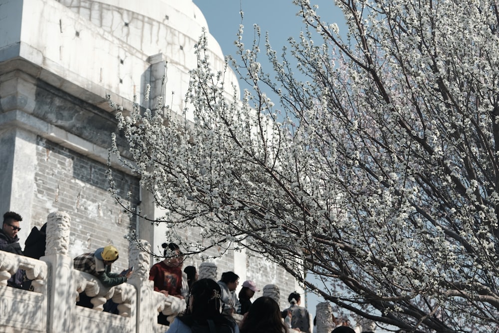 a group of people sitting on a ledge next to a tree