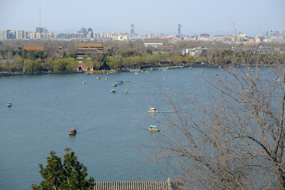 a large body of water with boats floating on it