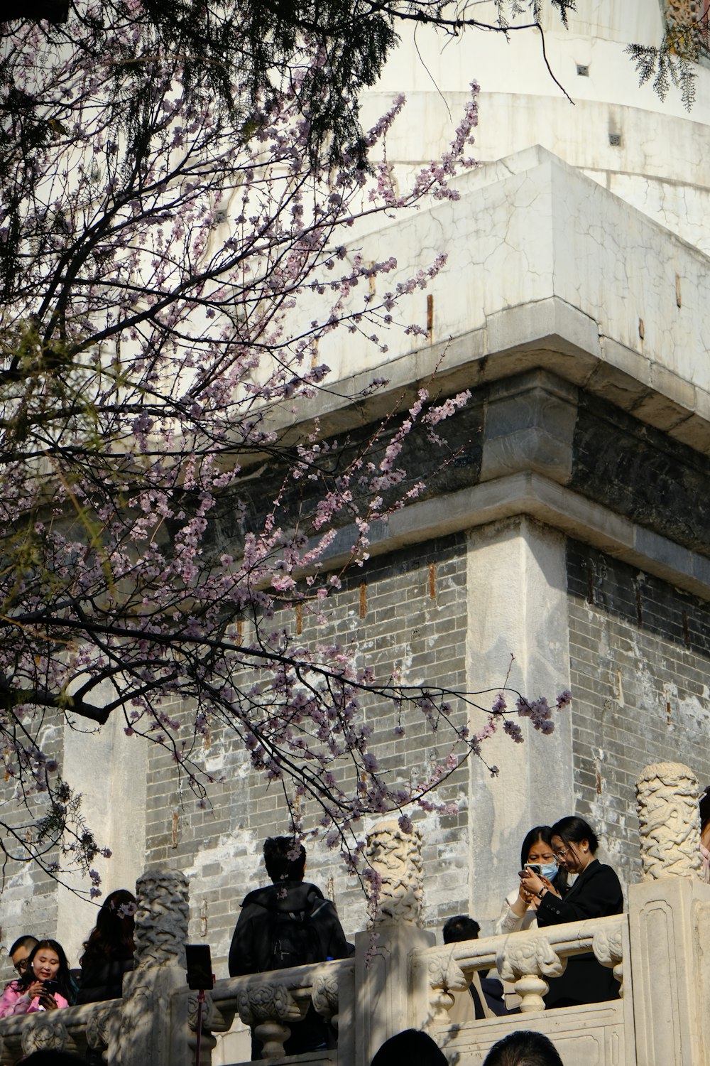 a group of people sitting on a ledge next to a tree