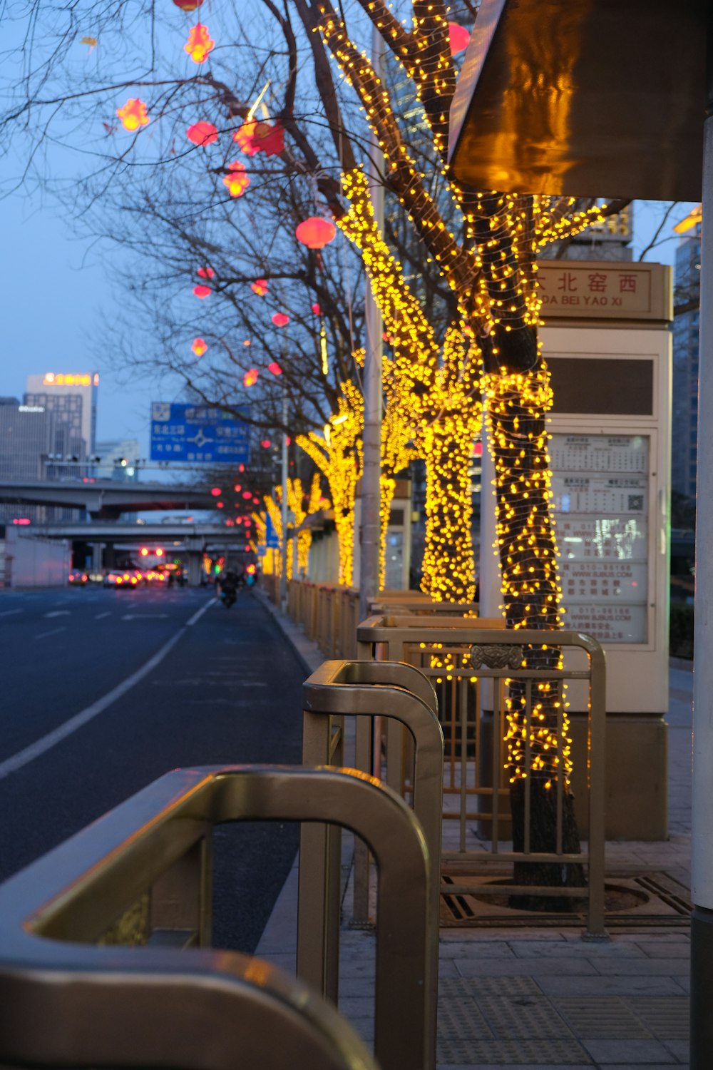 a street lined with trees covered in christmas lights