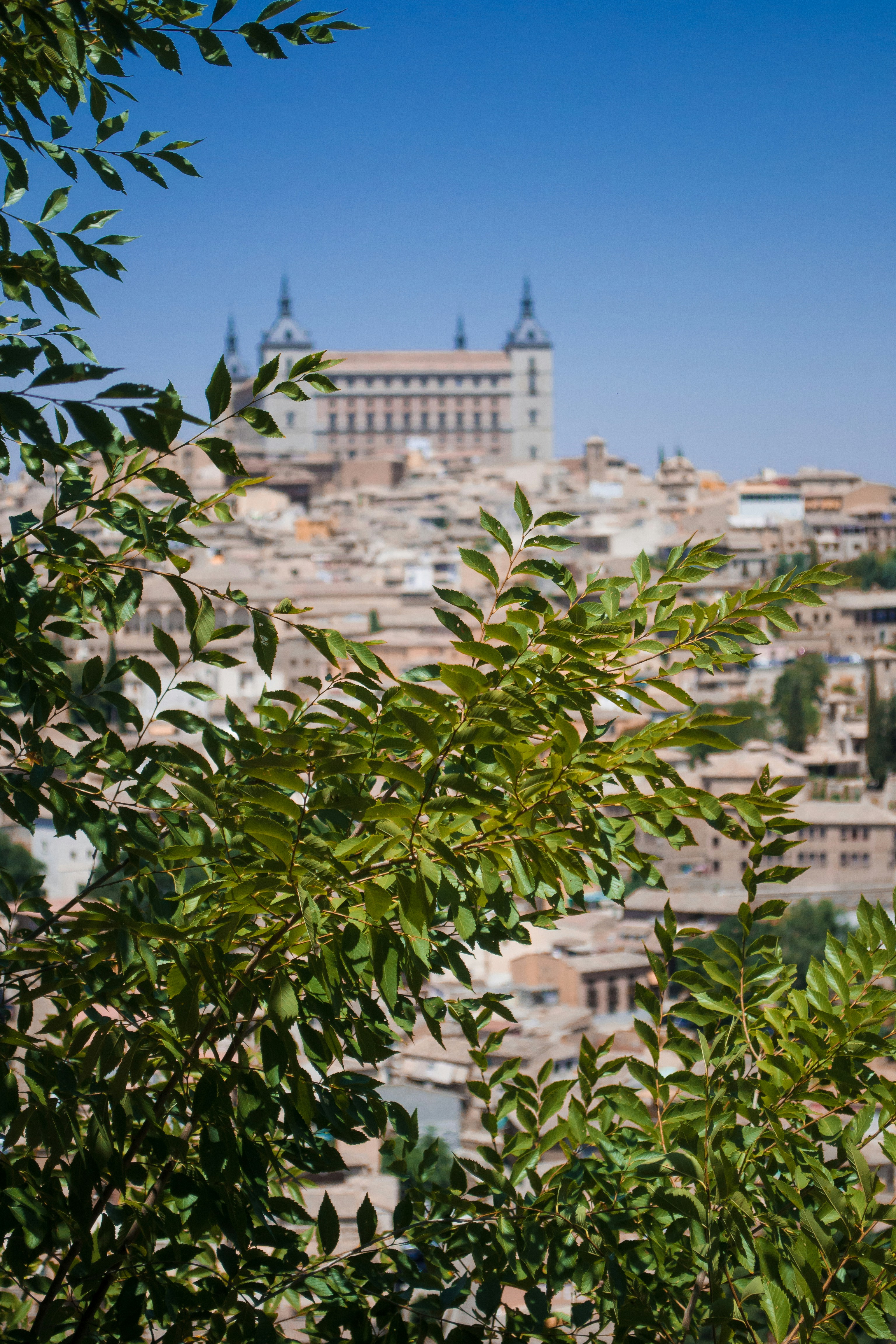 Photo by diseniatica