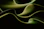 a black and green abstract background with wavy lines
