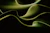 a black and green abstract background with wavy lines