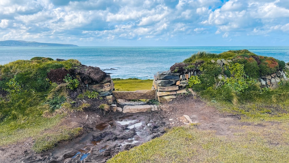 un chemin de terre menant à un plan d’eau