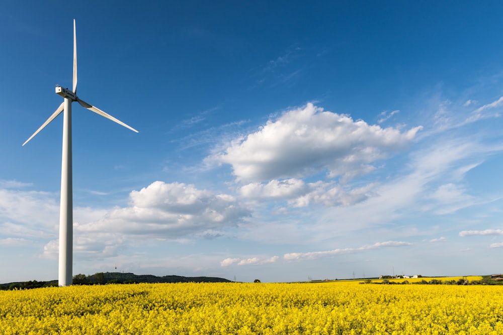 a wind turbine in a field of yellow flowers
