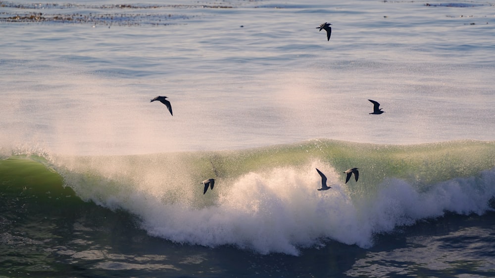 a group of birds flying over a wave in the ocean
