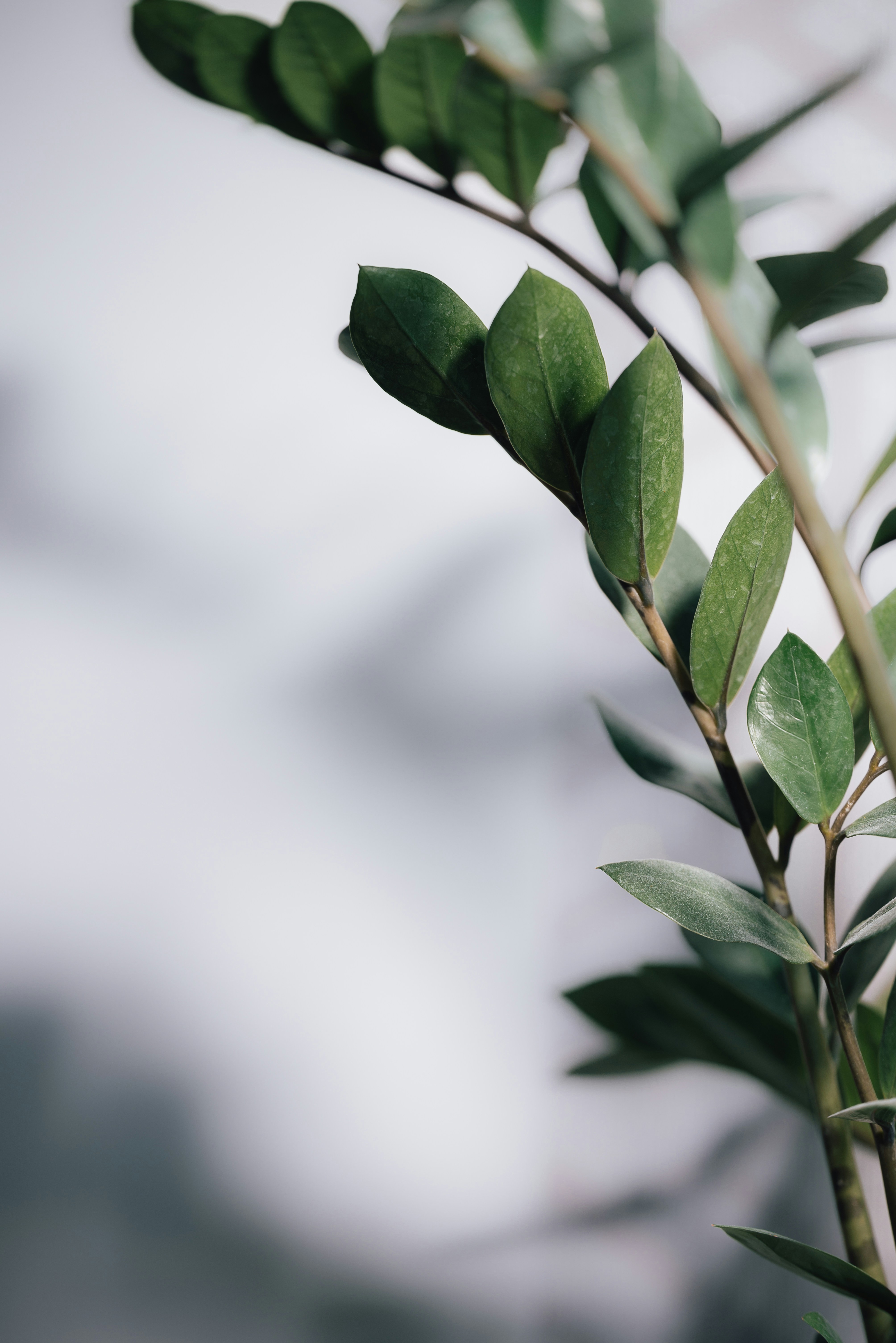 Photo by agataciosek