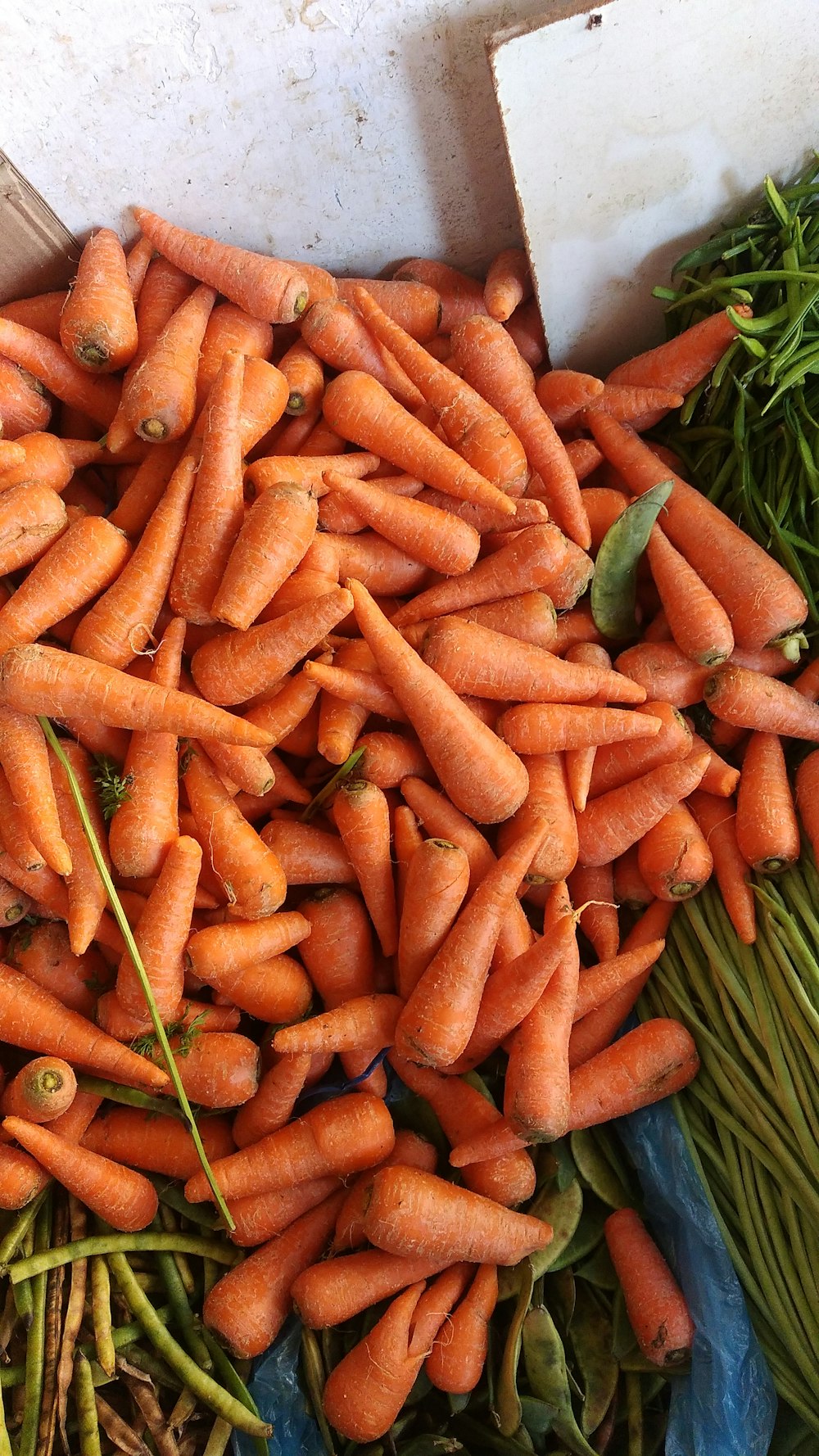 a pile of carrots sitting next to green beans